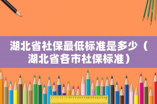 湖北省社保最低標準是多少（湖北省各市社保標準）