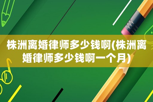 株洲離婚律師多少錢啊(株洲離婚律師多少錢啊一個月)