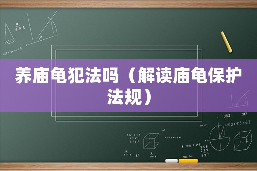 養(yǎng)廟龜犯法嗎（解讀廟龜保護法規(guī)）