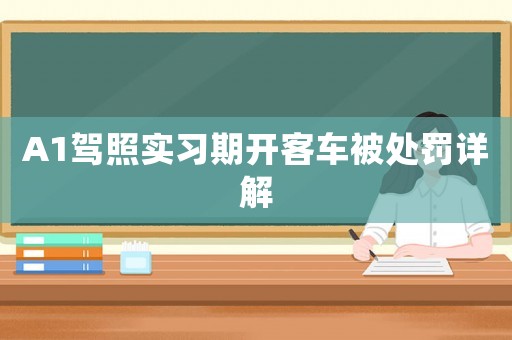 A1駕照實(shí)習(xí)期開(kāi)客車(chē)被處罰詳解
