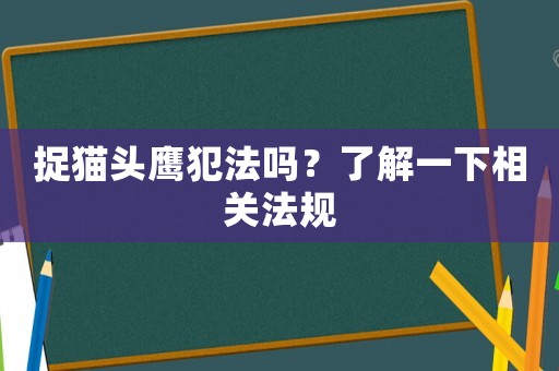 捉貓頭鷹犯法嗎？了解一下相關法規