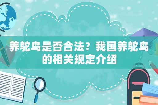 養鴕鳥是否合法？我國養鴕鳥的相關規定介紹