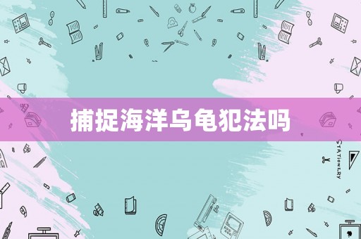 捕捉海洋烏龜犯法嗎