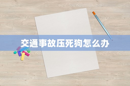 交通事故壓死狗怎么辦
