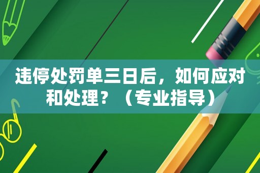 違停處罰單三日后，如何應對和處理？（專業指導）
