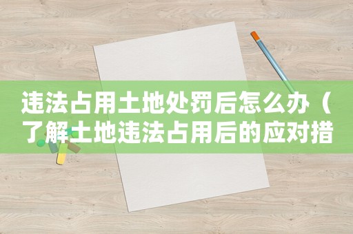 違法占用土地處罰后怎么辦（了解土地違法占用后的應(yīng)對措施）