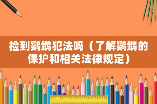撿到鸚鵡犯法嗎（了解鸚鵡的保護和相關法律規定）