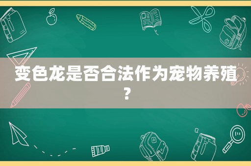變色龍是否合法作為寵物養殖？