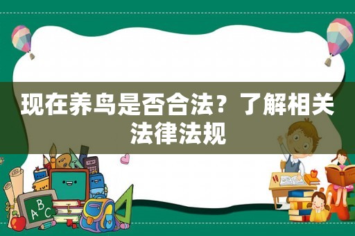 現(xiàn)在養(yǎng)鳥是否合法？了解相關(guān)法律法規(guī)