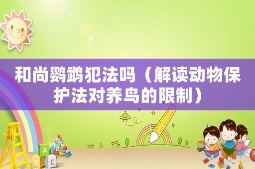 和尚鸚鵡犯法嗎（解讀動物保護法對養鳥的限制）