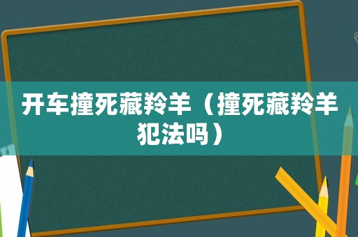 開車撞死藏羚羊（撞死藏羚羊犯法嗎）