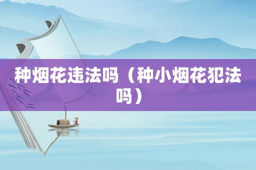 種煙花違法嗎（種小煙花犯法嗎）