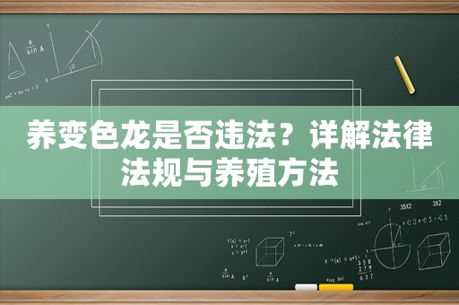 養(yǎng)變色龍是否違法？詳解法律法規(guī)與養(yǎng)殖方法