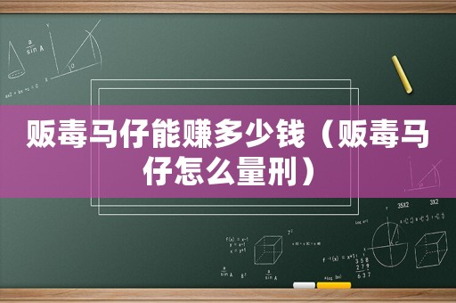 販毒馬仔能賺多少錢（販毒馬仔怎么量刑）