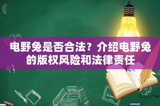 電野兔是否合法？介紹電野兔的版權風險和法律責任