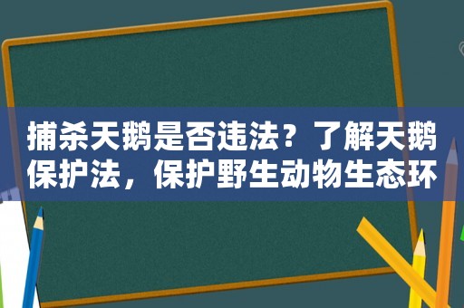 捕殺天鵝是否違法？了解天鵝保護法，保護野生動物生態(tài)環(huán)境
