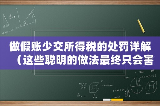 做假賬少交所得稅的處罰詳解（這些聰明的做法最終只會害了自己）