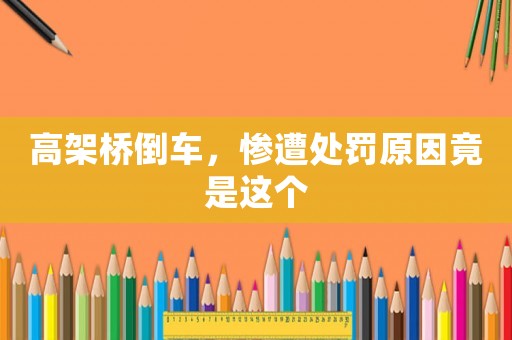 高架橋倒車，慘遭處罰原因竟是這個