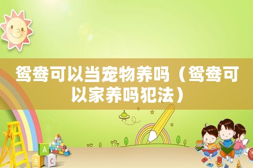 鴛鴦可以當(dāng)寵物養(yǎng)嗎（鴛鴦可以家養(yǎng)嗎犯法）