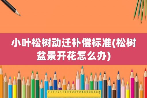 小葉松樹動遷補償標準(松樹盆景開花怎么辦)