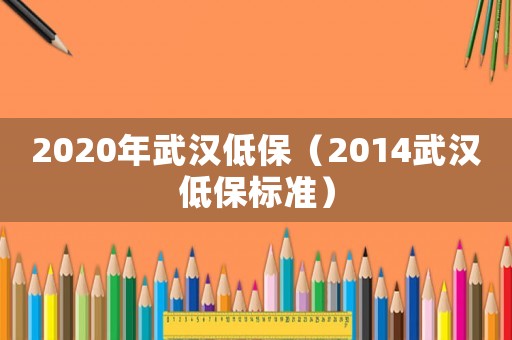 2020年武漢低保（2014武漢低保標準）