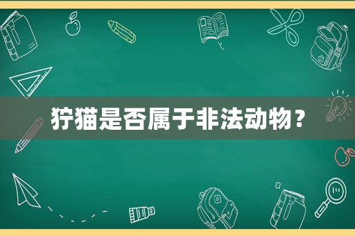 獰貓是否屬于非法動(dòng)物？
