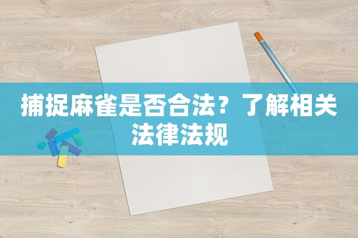 捕捉麻雀是否合法？了解相關法律法規(guī)