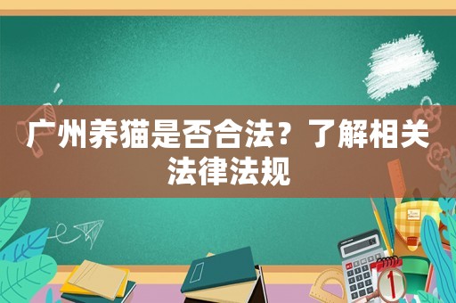 廣州養(yǎng)貓是否合法？了解相關(guān)法律法規(guī)