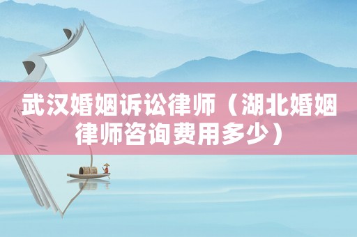 武漢婚姻訴訟律師（湖北婚姻律師咨詢費用多少）