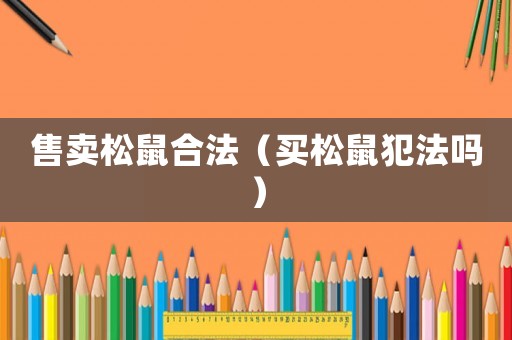 售賣松鼠合法（買松鼠犯法嗎）