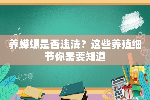 養蠑螈是否違法？這些養殖細節你需要知道