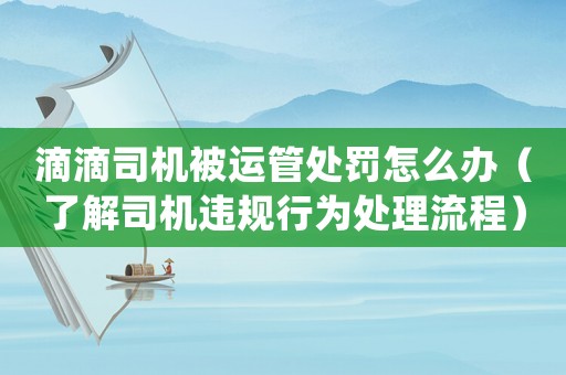 滴滴司機被運管處罰怎么辦（了解司機違規行為處理流程）