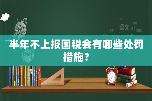 半年不上報國稅會有哪些處罰措施？