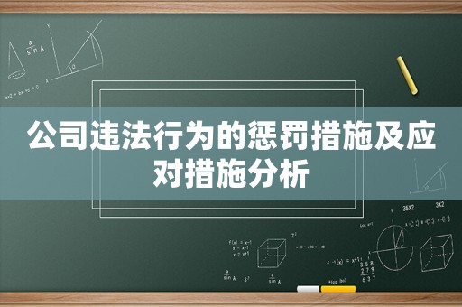 公司違法行為的懲罰措施及應對措施分析