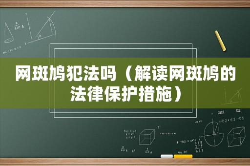 網斑鳩犯法嗎（解讀網斑鳩的法律保護措施）
