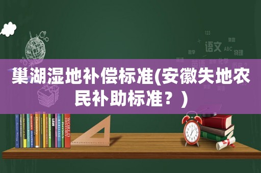 巢湖濕地補(bǔ)償標(biāo)準(zhǔn)(安徽失地農(nóng)民補(bǔ)助標(biāo)準(zhǔn)？)