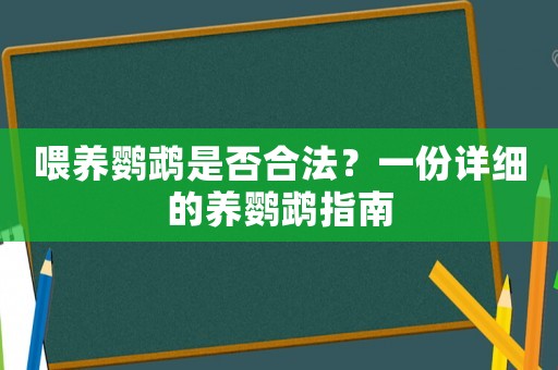 喂養鸚鵡是否合法？一份詳細的養鸚鵡指南