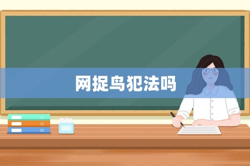 網(wǎng)捉鳥犯法嗎