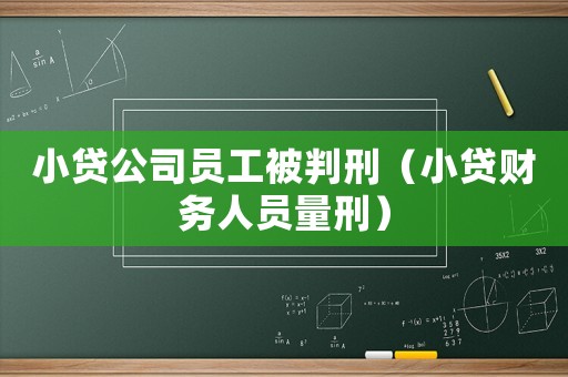 小貸公司員工被判刑（小貸財(cái)務(wù)人員量刑）