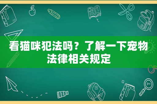 看貓咪犯法嗎？了解一下寵物法律相關規定