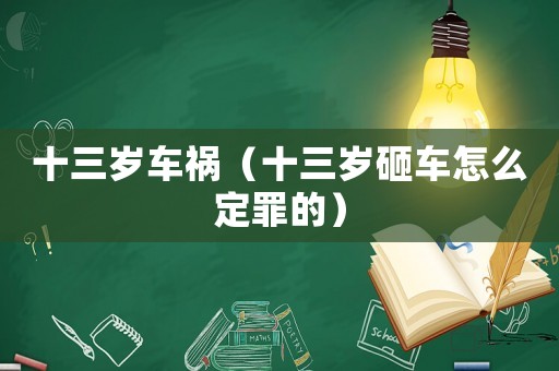 十三歲車禍（十三歲砸車怎么定罪的）