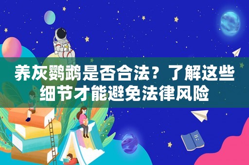 養灰鸚鵡是否合法？了解這些細節才能避免法律風險