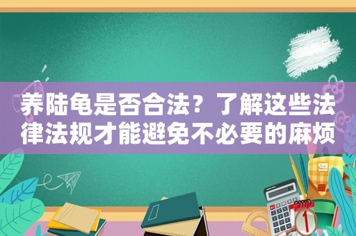 養(yǎng)陸龜是否合法？了解這些法律法規(guī)才能避免不必要的麻煩