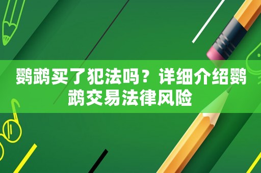 鸚鵡買了犯法嗎？詳細介紹鸚鵡交易法律風險