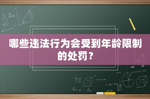 哪些違法行為會受到年齡限制的處罰？