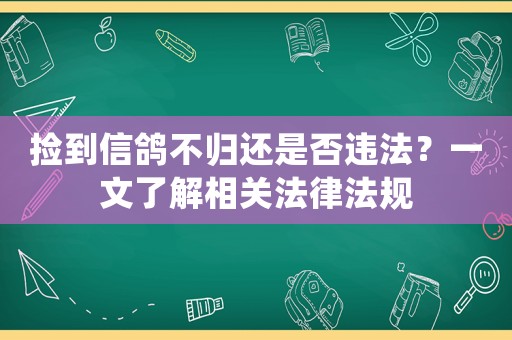 撿到信鴿不歸還是否違法？一文了解相關法律法規