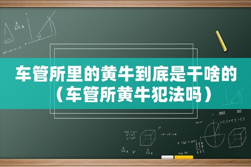 車管所里的黃牛到底是干啥的（車管所黃牛犯法嗎）