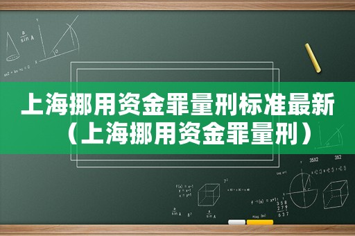 上海挪用資金罪量刑標準最新（上海挪用資金罪量刑）
