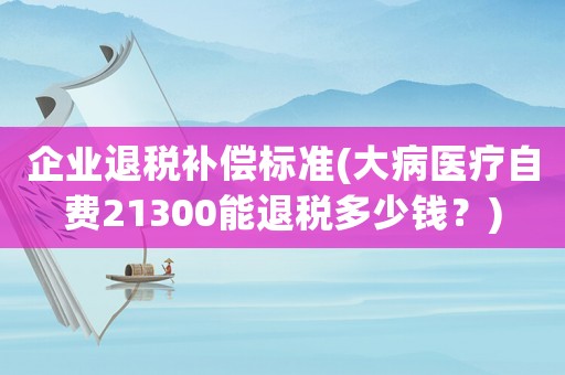 企業退稅補償標準(大病醫療自費21300能退稅多少錢？)