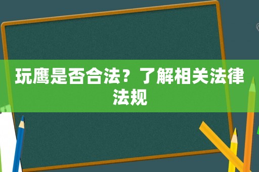 玩鷹是否合法？了解相關(guān)法律法規(guī)
